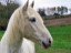 blanka114_1456_bearbeitet-1