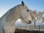 blanka115_1503_bearbeitet-1